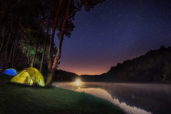 Peut-on amener son animal de compagnie au camping de Bidart ?